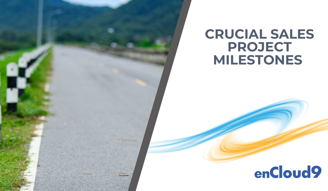 Crucial Sales Project Milestones