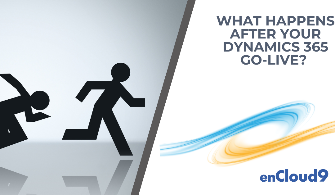 What Happens After Your Dynamics 365 Go-Live?