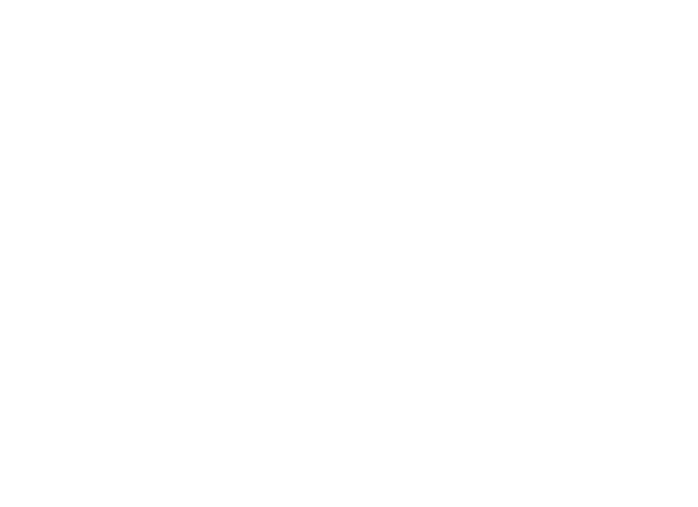 World Import Distributors Logo