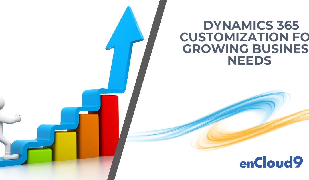  Dynamics 365 Customization for Growing Business Needs