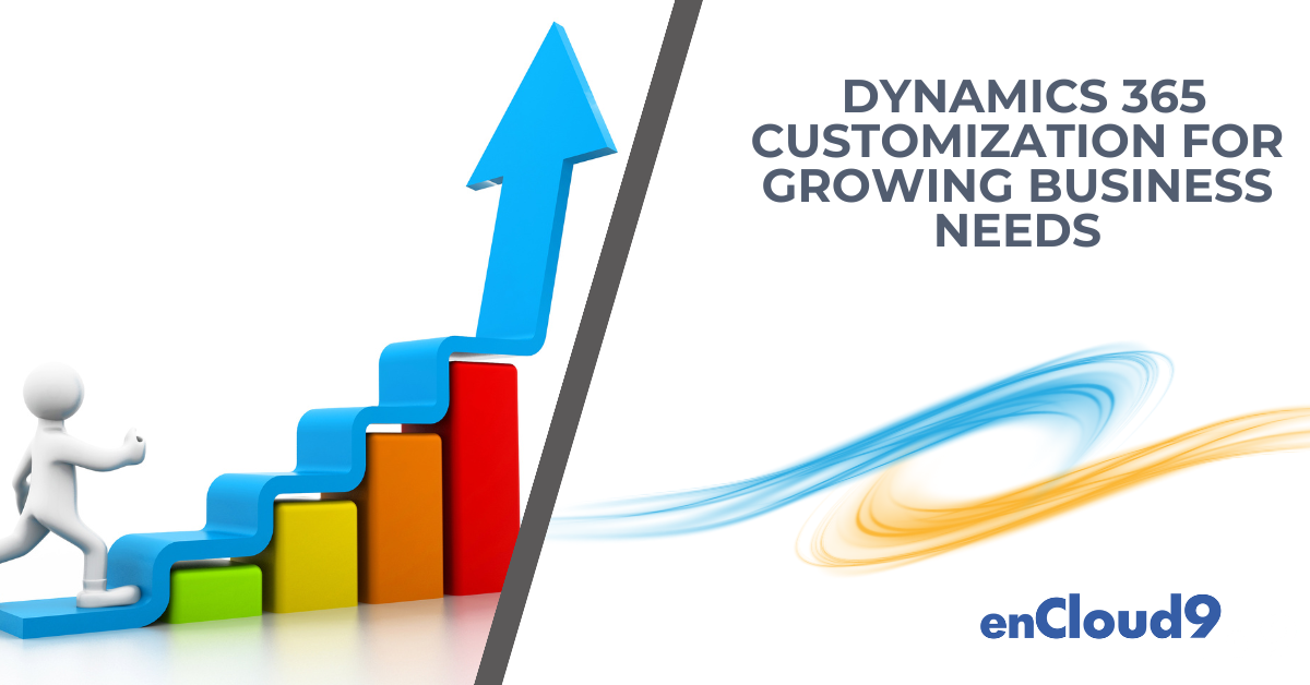 Dynamics 365 customization | enCloud9